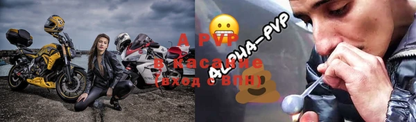 индика Няндома