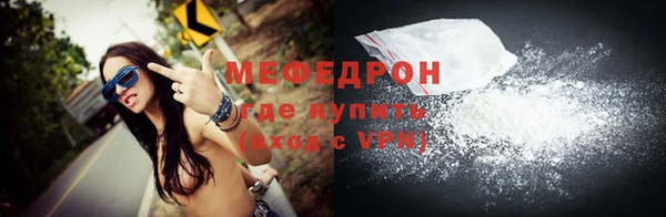 индика Няндома