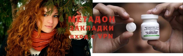 индика Няндома