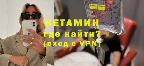 индика Няндома