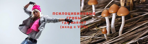 mdpv Нягань