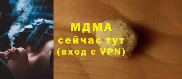 индика Няндома