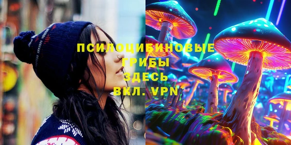 МДПВ Осташков