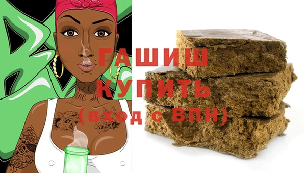 индика Няндома
