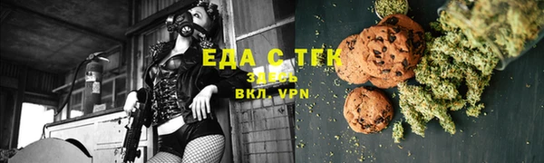 индика Няндома